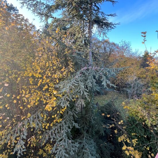 Eladó lakás 12. kerület Kútvölgy panorámás eladó lakás