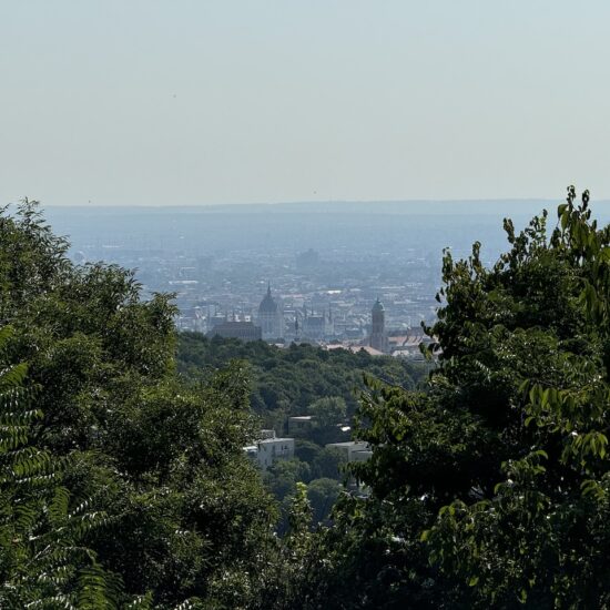 kiado-lakas-budapest-buda-12-kerulet-immobil -verecke-ingatlan-luxus-istenhegy-panorama-szoba-igenyes-exluziv