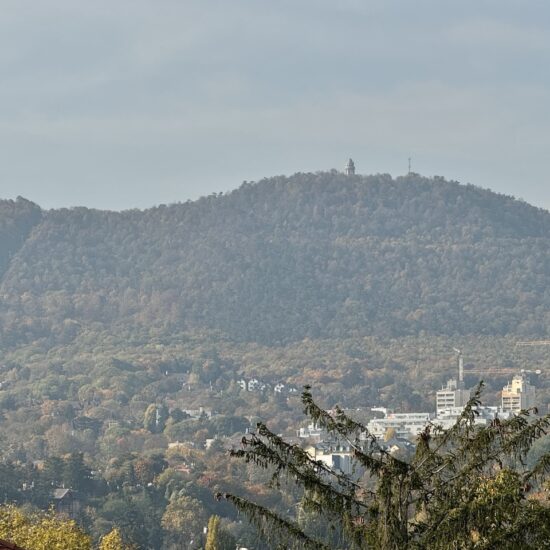 verecke-ingatlan-immobil-elado-lakas-budapest-buda-2-kerulet-panoramas-panorama-rozsadomb-pasaret-igenyes-3-szoba-budai-hegyek