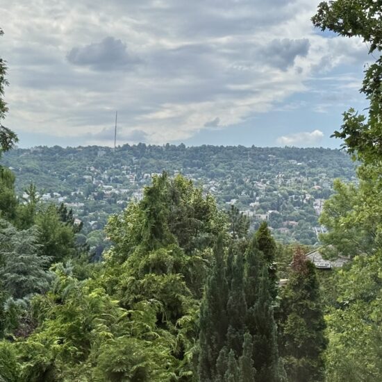 immobil-verecke-ingatlan-elado-csaladi-haz-2-kerulet-Buda-torokvesz-telek-panorama-rozsadomb-exkluziv-luxus-5-autonak-garazs-villa