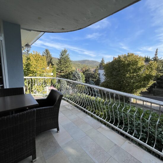 verecke-ingatlan-immobil-elado-lakas-II-kerulet-luxus-elegans-csibor utca-4szoba-erkely-panorama-lift-garazs-exkluziv-buda-budapest-konyha-nappali-klima-kert