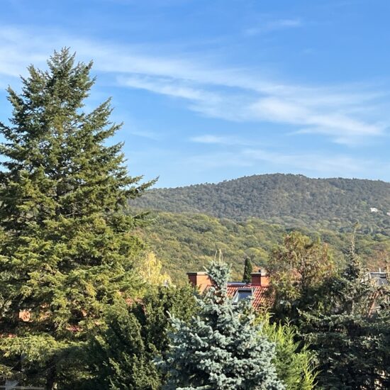 verecke-ingatlan-immobil-elado-lakas-II-kerulet-luxus-elegans-csibor utca-4szoba-erkely-panorama-lift-garazs-exkluziv-buda-budapest-konyha-nappali-klima-kert